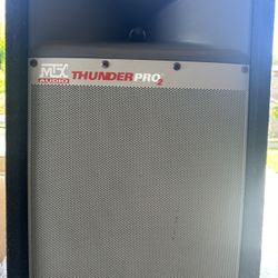 Two MTX Speakers