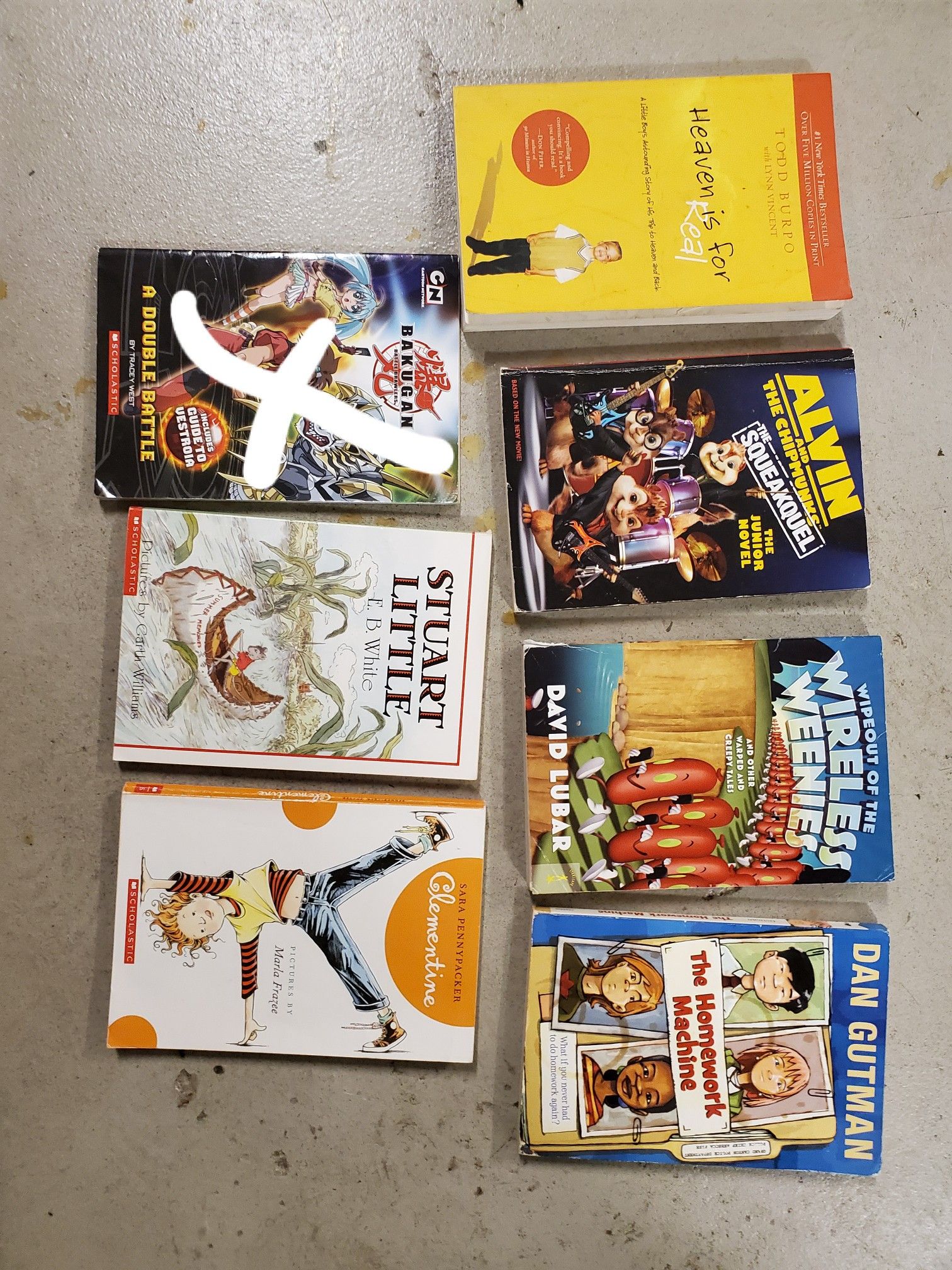 Chapter books