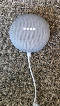 1st Gen Google Home Mini