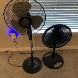 Two Fans - Adjustable Height
