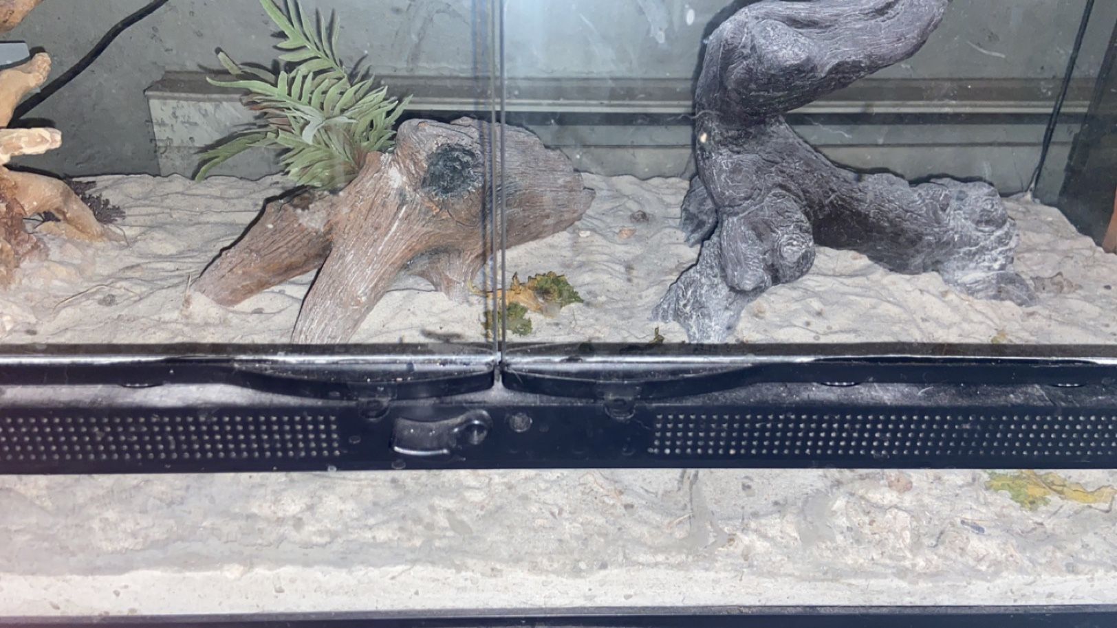 40 Gallon Reptile Tank for Sale in Tacoma, WA - OfferUp