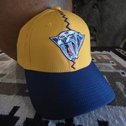 Nashville Predators NHL Hockey Reverse Retro 2.0 2001 Adidas A Flex Hat 