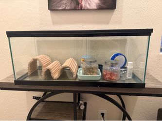 Hamster setup (beginner cage)