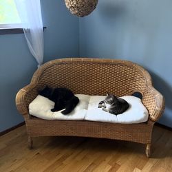 Cute Rattan Wicker Loveseat
