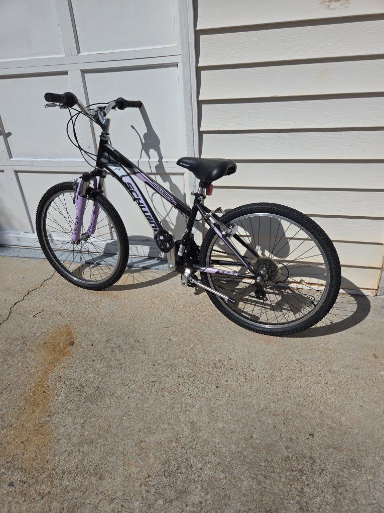 Bicycle 24"