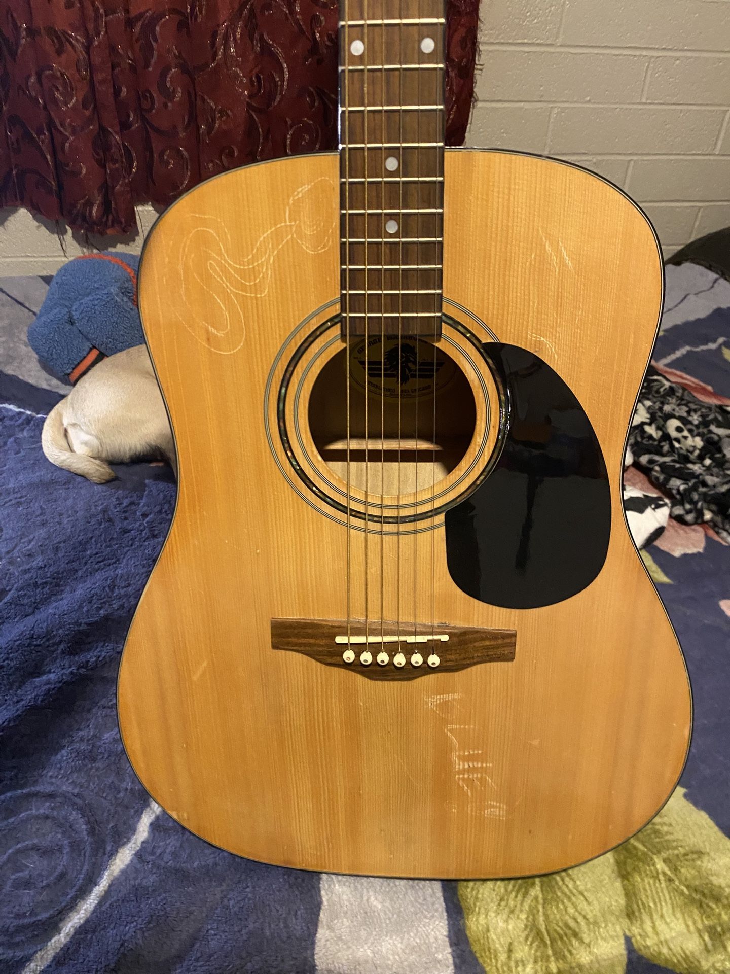 Guitar 