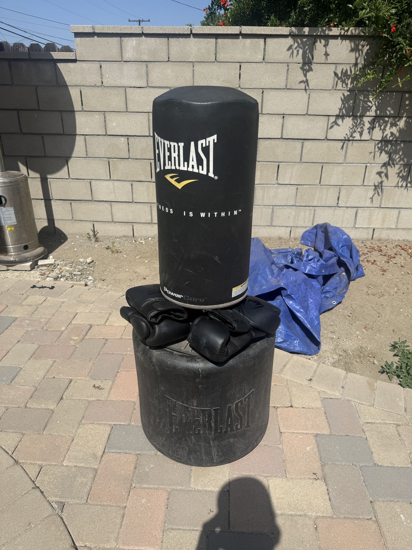 Everlast Punching Bag