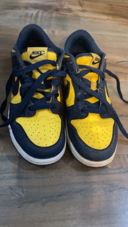 Nike dunks 3Y