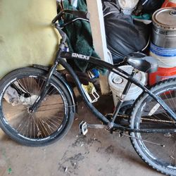 Genesis One Cruiser 29 Inch