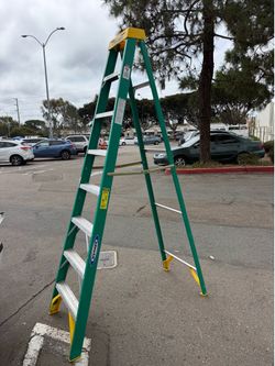 8 foot ladder