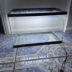 Fish Tank 