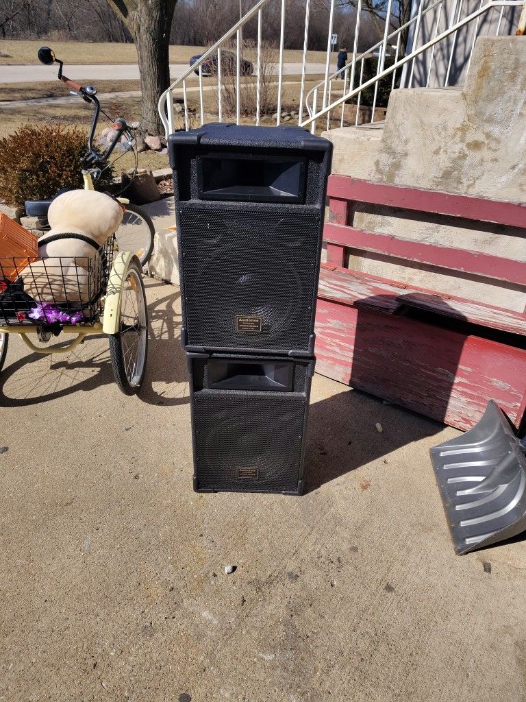 Bocinas De 12". Buen Estado