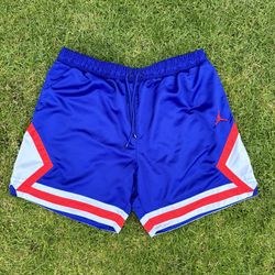 Jordan shorts 2xl sale