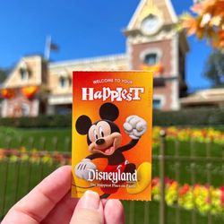 Disneyland Ticket