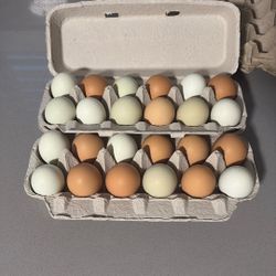 Chicken Chicken Eggs, Assorted Colors, Unwashed