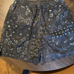 Maison Article Shorts