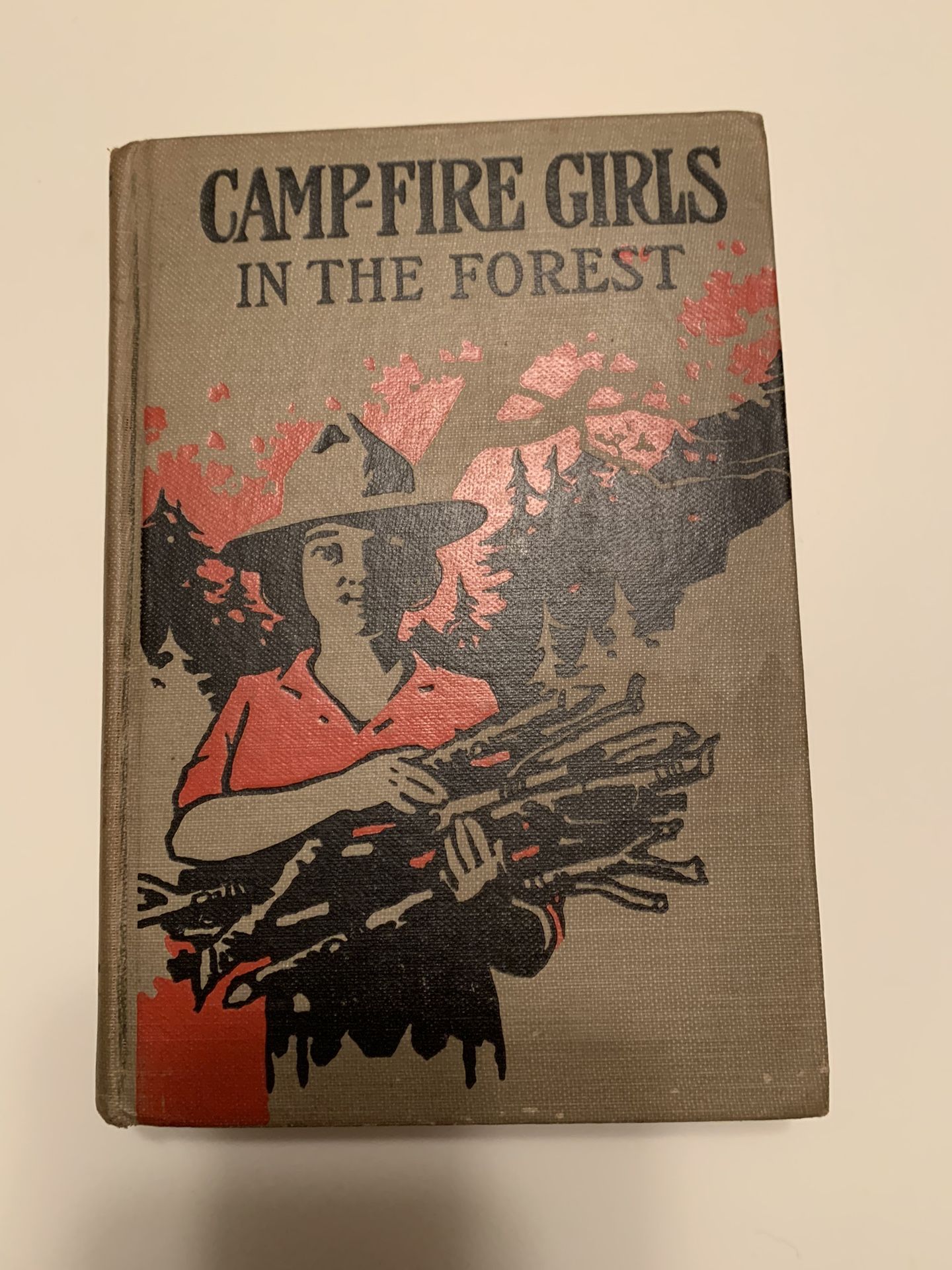 Camp Fire Girls Book IN THE FOREST by Benson published in 1918