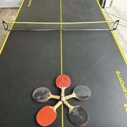 Ping Pong Table 