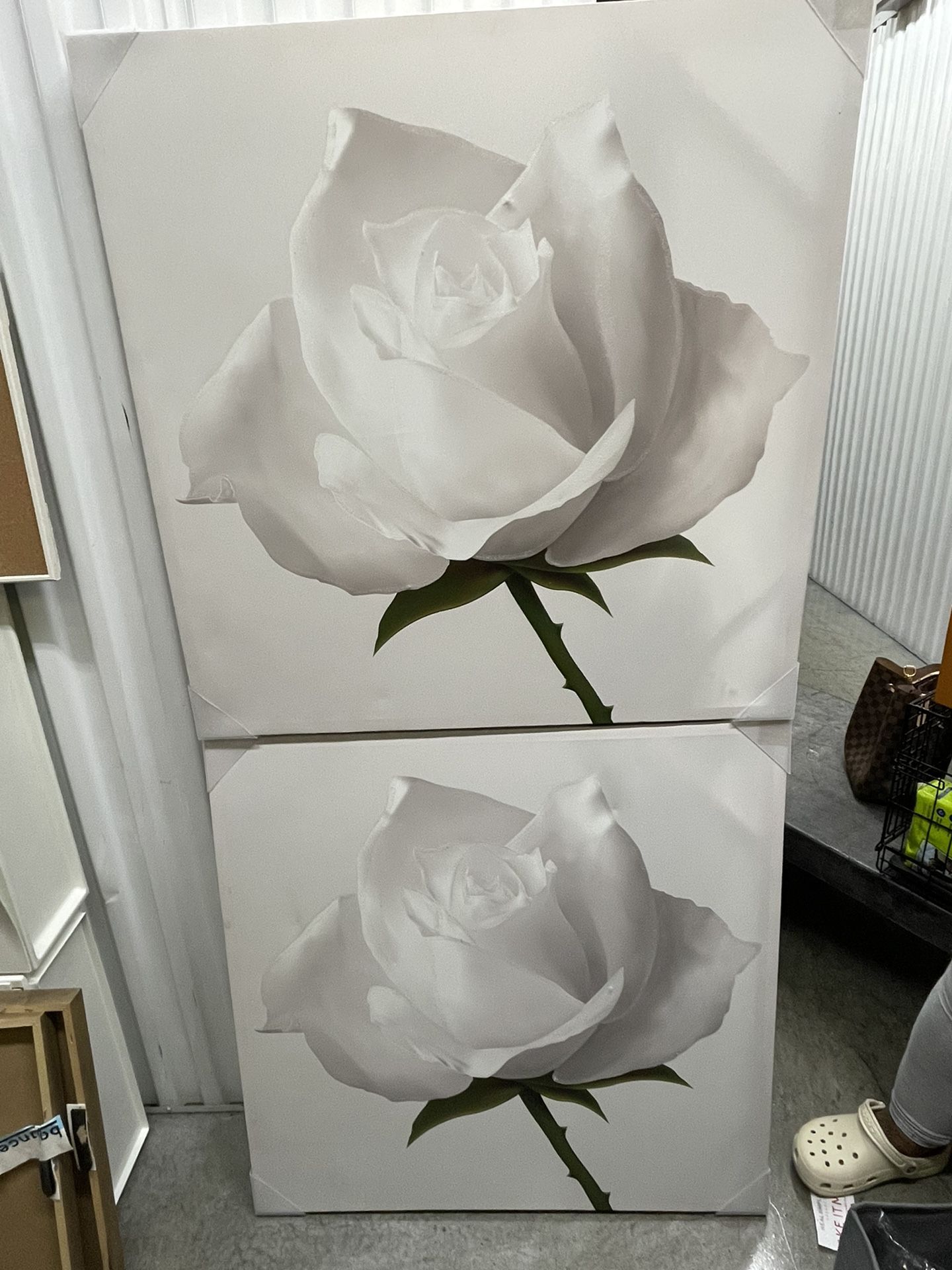 2 White Rose Canvas 