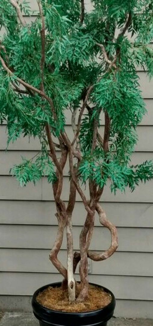 Large Artificial Ficus Tree! 13 Feet Tall! Heavy Pot!