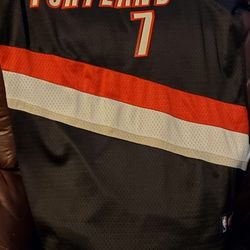 Authentic Brandon Roy Blazers Jersey