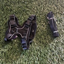 Dog Harness XS Black With Leash 