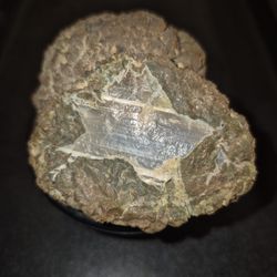 🪨⭐️SALE🪨⭐️THUNDER EGG w/ Star-Shaped Opal