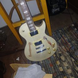 Hollow Body Guitar