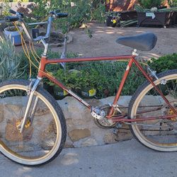 Schwinn Sidewinder 1982