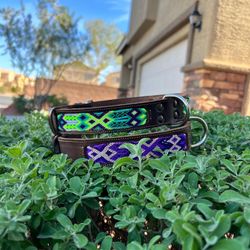 Dog Collar 