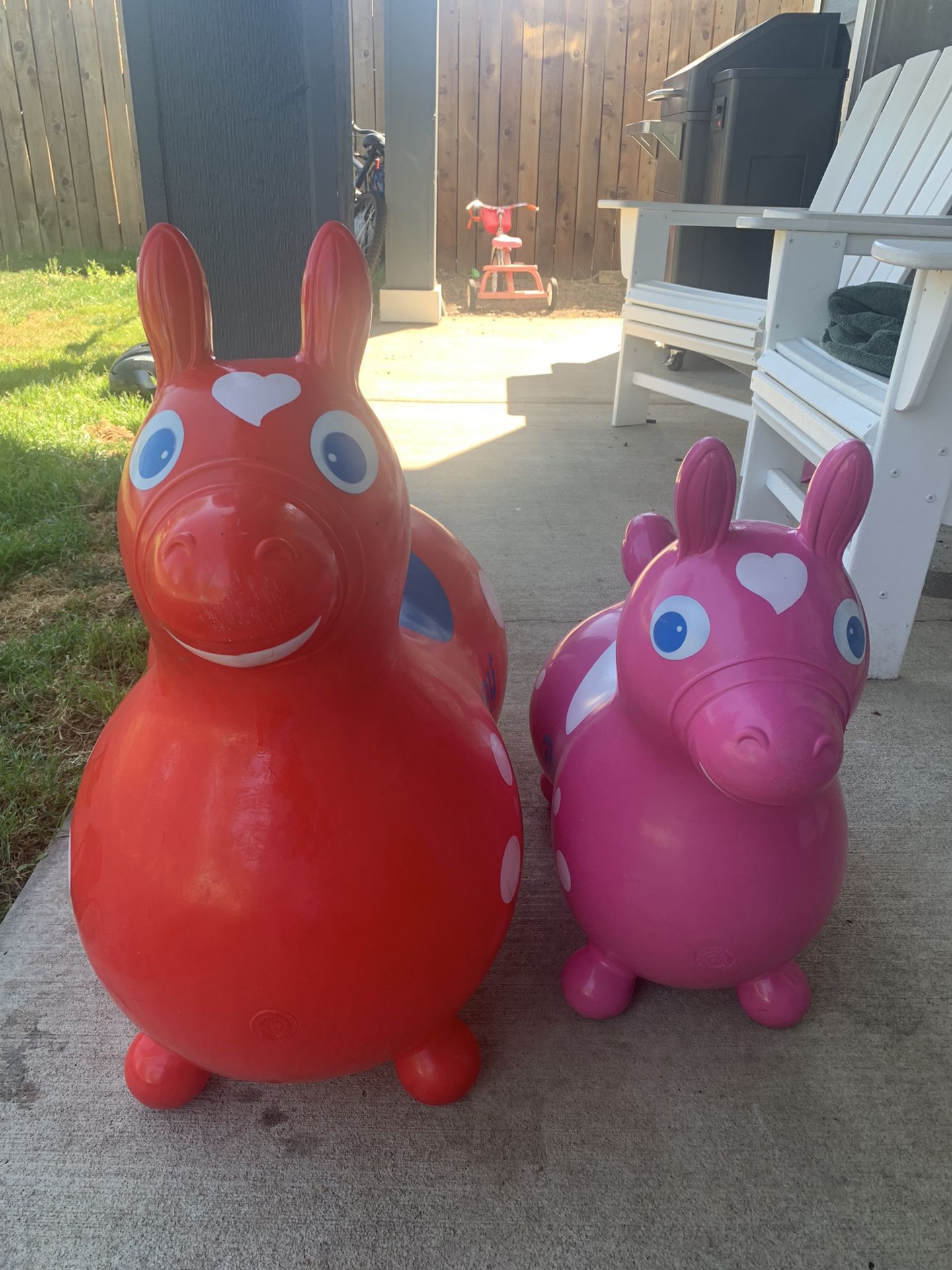 Gymnic Rody and Rody Max