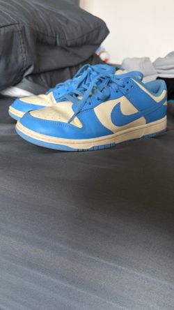 Baby Blue Nike Dunks