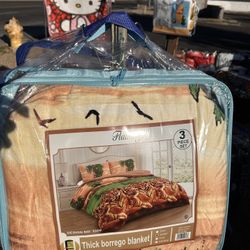 Queen Size Thick Borrego Blanket $30. Comes With Pillow Cases 