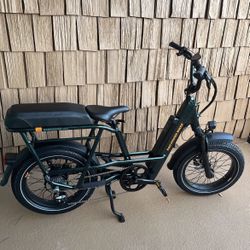 Radrunner Max E-Bike