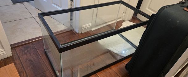 Large Fish Tank
