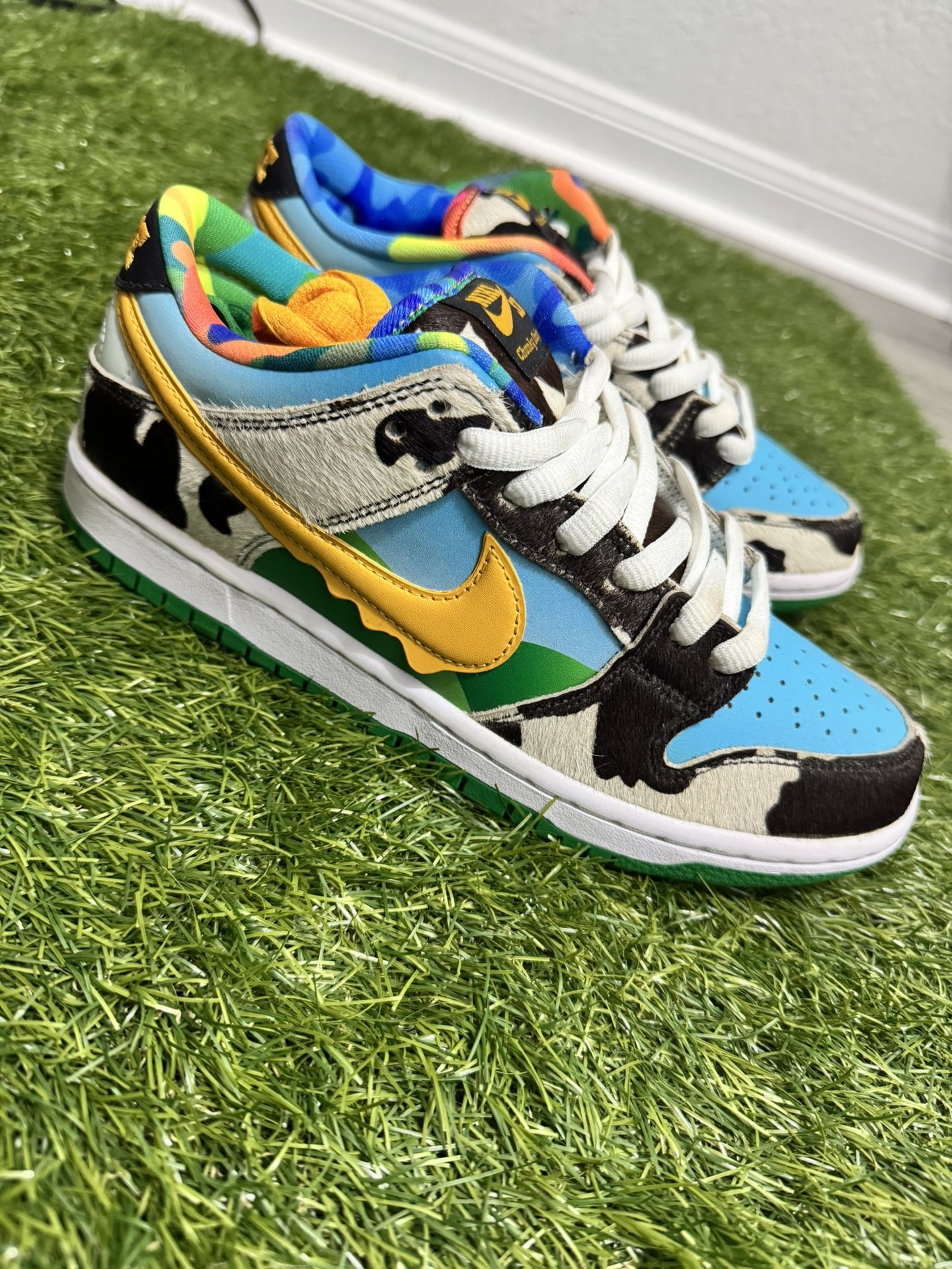 Nike SB  Low Ben & Jerry Dunks Size 