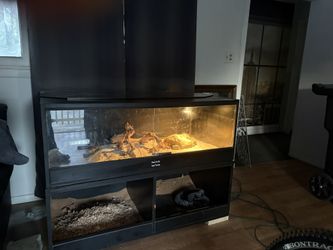 Reptile Enclosure