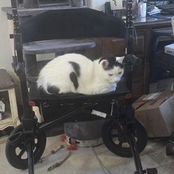 Days Upright Walker GREAT FOR POSTURE