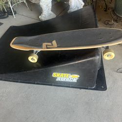 Z-flex Skate Board