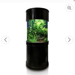 Custom Glass Aquarium 