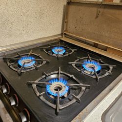 1969 RV Original Parts Only 