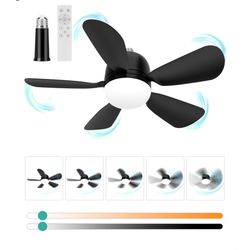 Fan With Light 