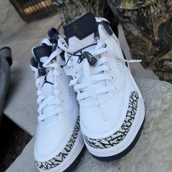 Jordan Retro 3s Navy Blue And White