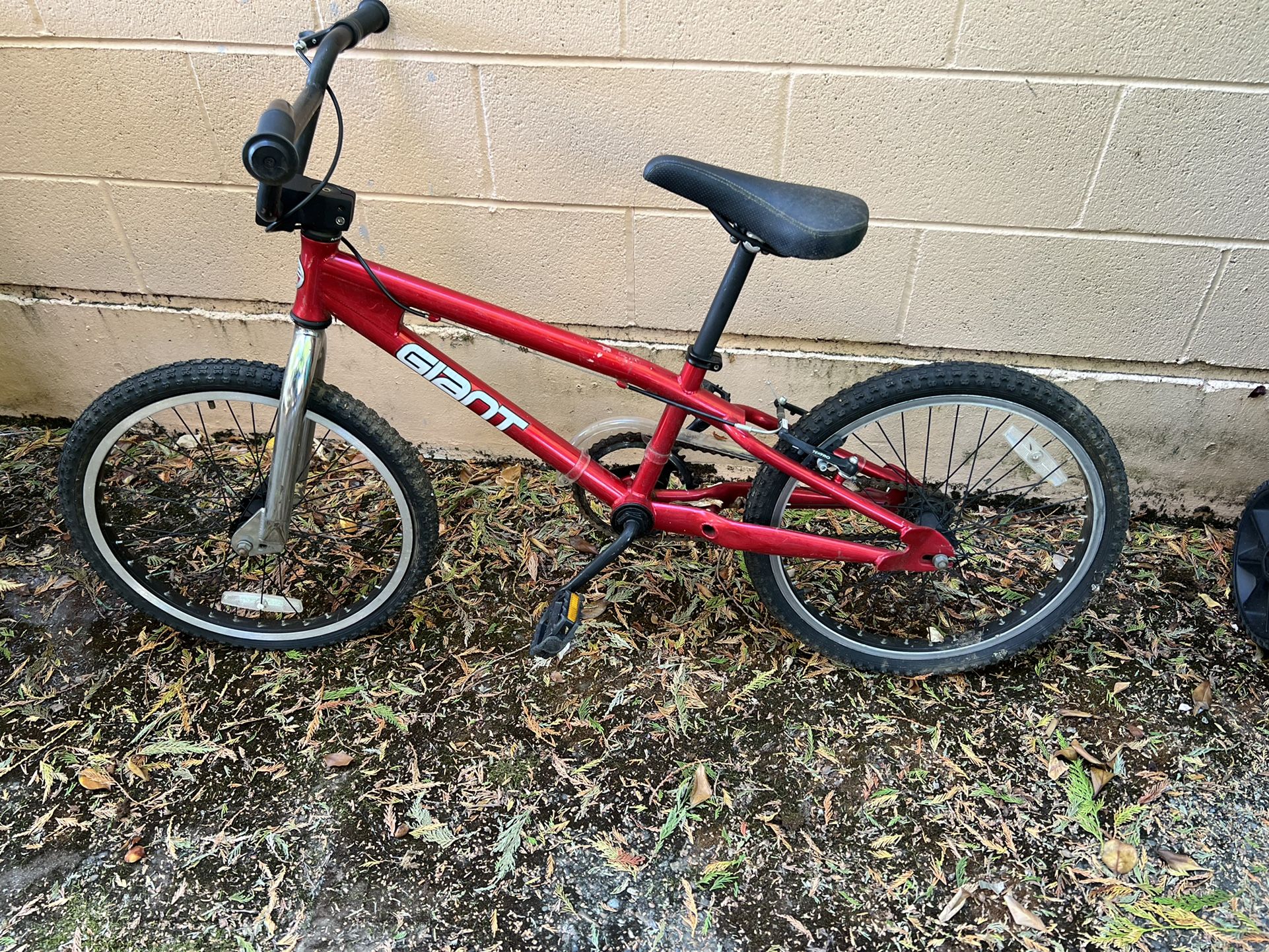 Giant Kids Bike 19” Single Speed 