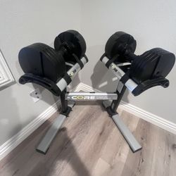 Core Fitness Adjustable Dumbbell Set And Stand 