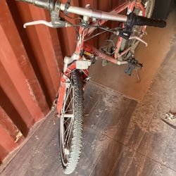 Specialized Mountain Bike