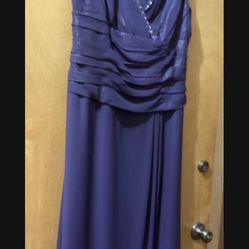 David’s bridal dress Never Worn | Color: purple | Long dressSize: 14 |