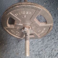 Curl Bar 