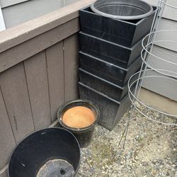 Free Flower Pots & Carpet