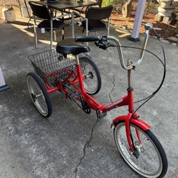Tricycle Bike